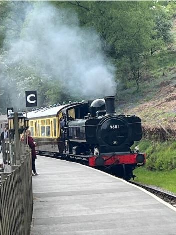 Pannier Tank 9681