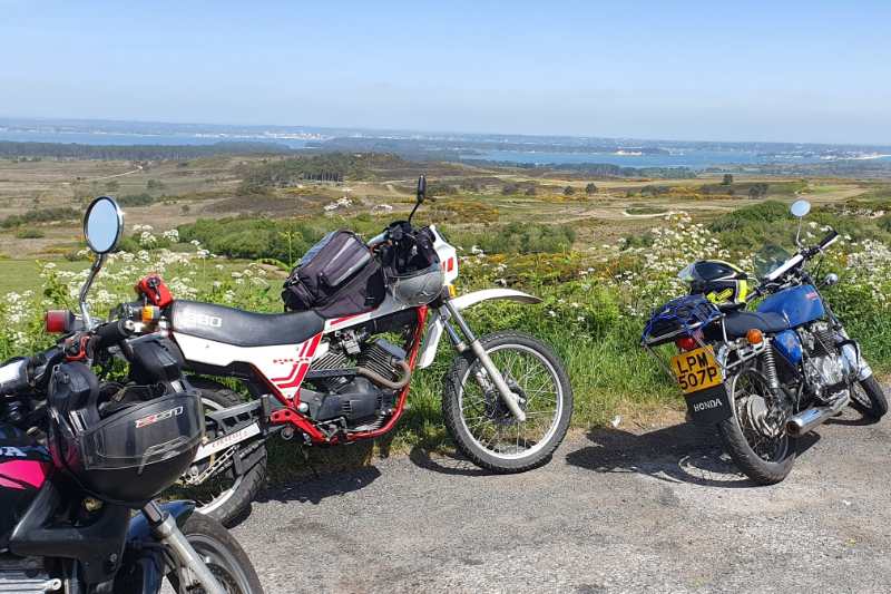 the view over Studlands